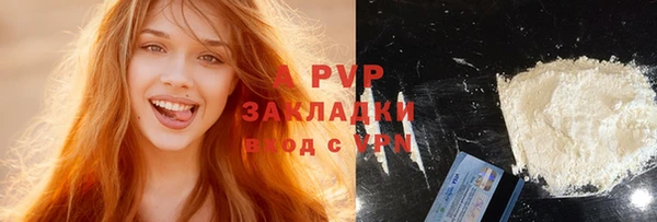 шишки Инсар