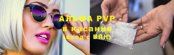 a pvp Зеленокумск