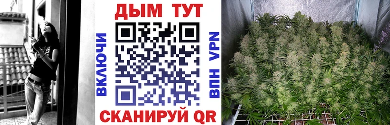 Купить где  Коряжма  Каннабис тримм 